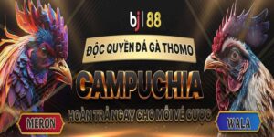 Đánh giá các điểm mạnh tại nhà cái trực tuyến BJ88