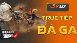 SV388 – Hành trình hình thành và phát triển